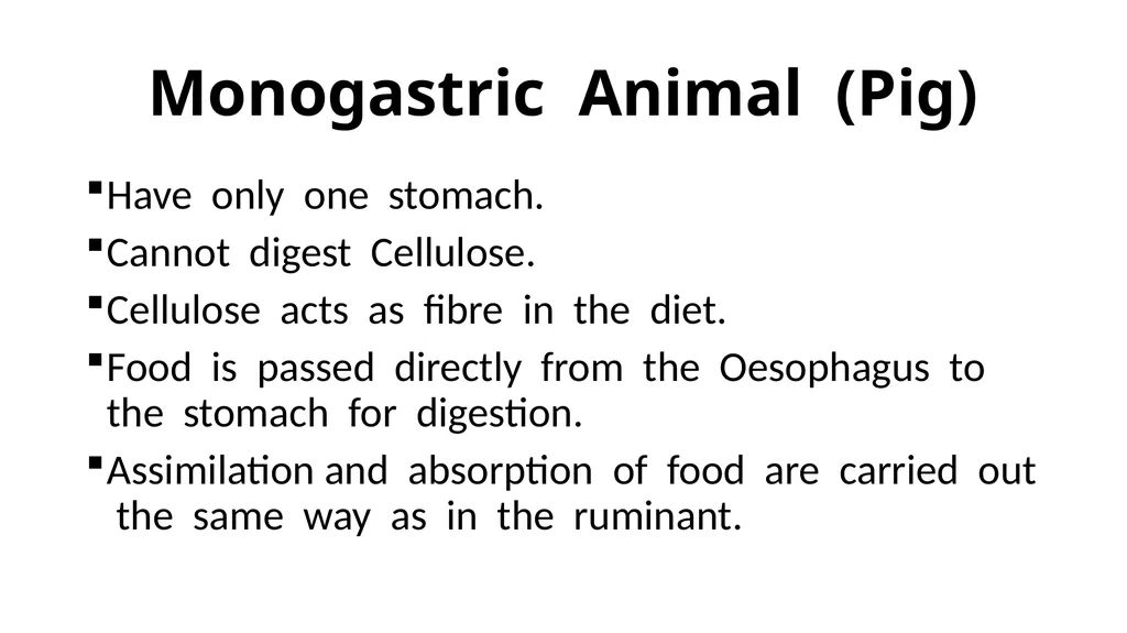 The Digestive System Ruminant Animals Monogastric - slide 22 of 22