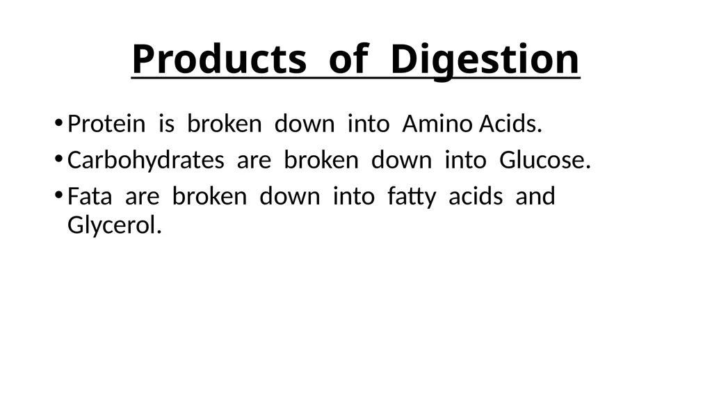 The Digestive System Ruminant Animals Monogastric - slide 20 of 22