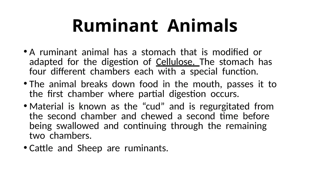 The Digestive System Ruminant Animals Monogastric - slide 4 of 22