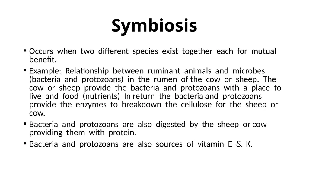 The Digestive System Ruminant Animals Monogastric - slide 13 of 22