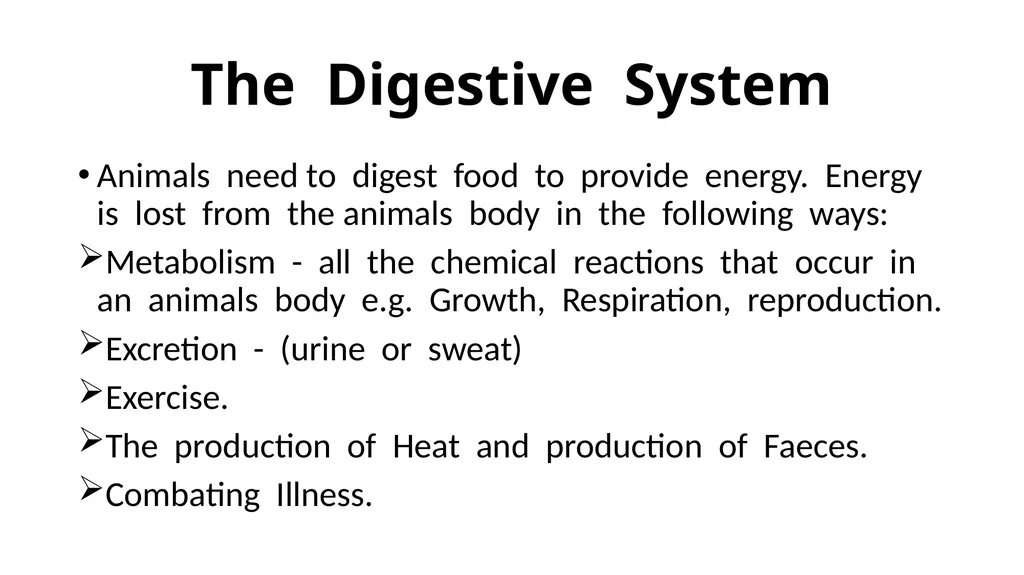 The Digestive System Ruminant Animals Monogastric - slide 2 of 22