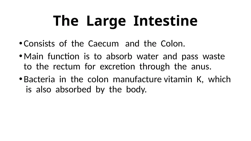 The Digestive System Ruminant Animals Monogastric - slide 19 of 22