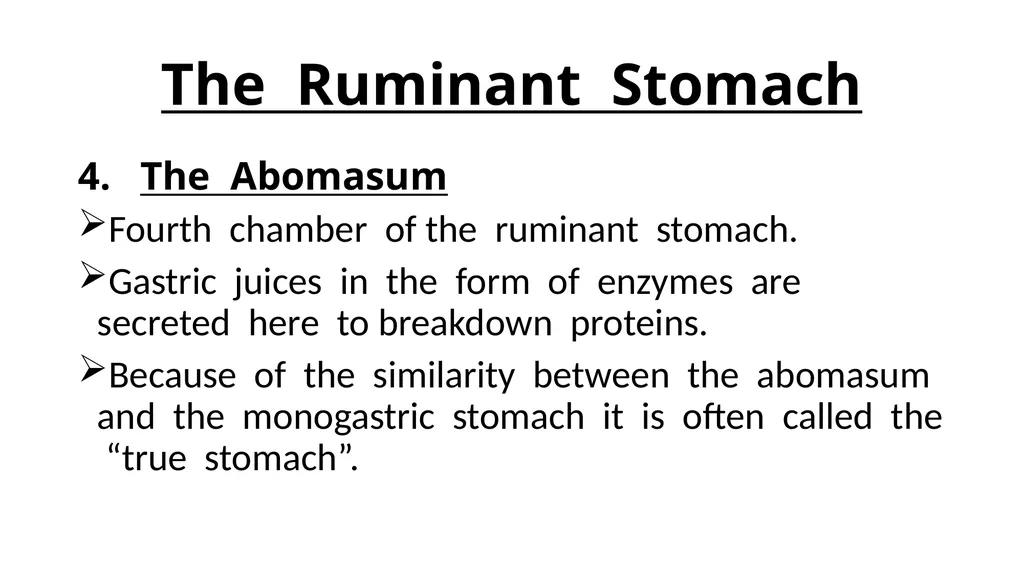 The Digestive System Ruminant Animals Monogastric - slide 10 of 22