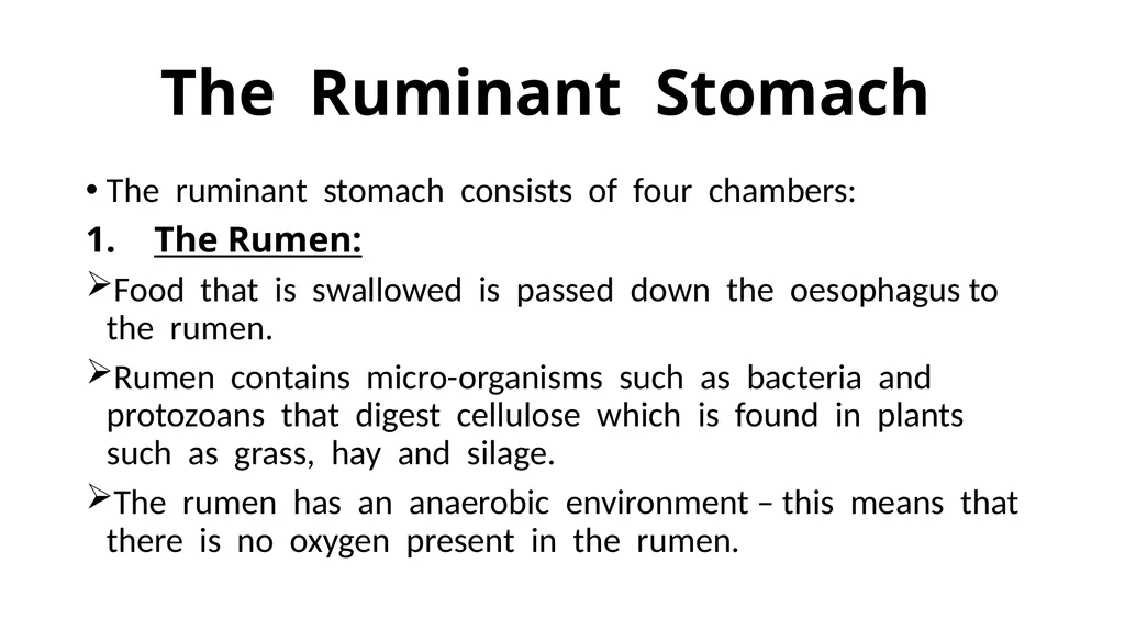 The Digestive System Ruminant Animals Monogastric - slide 6 of 22