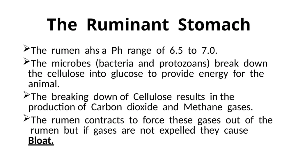 The Digestive System Ruminant Animals Monogastric - slide 7 of 22