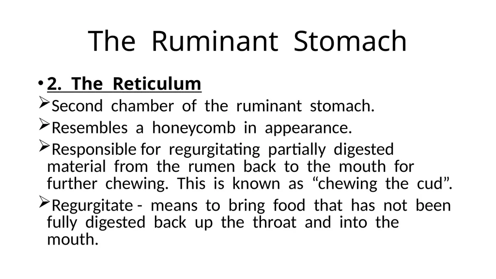 The Digestive System Ruminant Animals Monogastric - slide 8 of 22