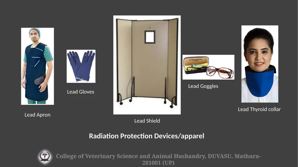 Radiation hazards & safety Gulshan Kumar MVSc, PhD - slide 24 of 29
