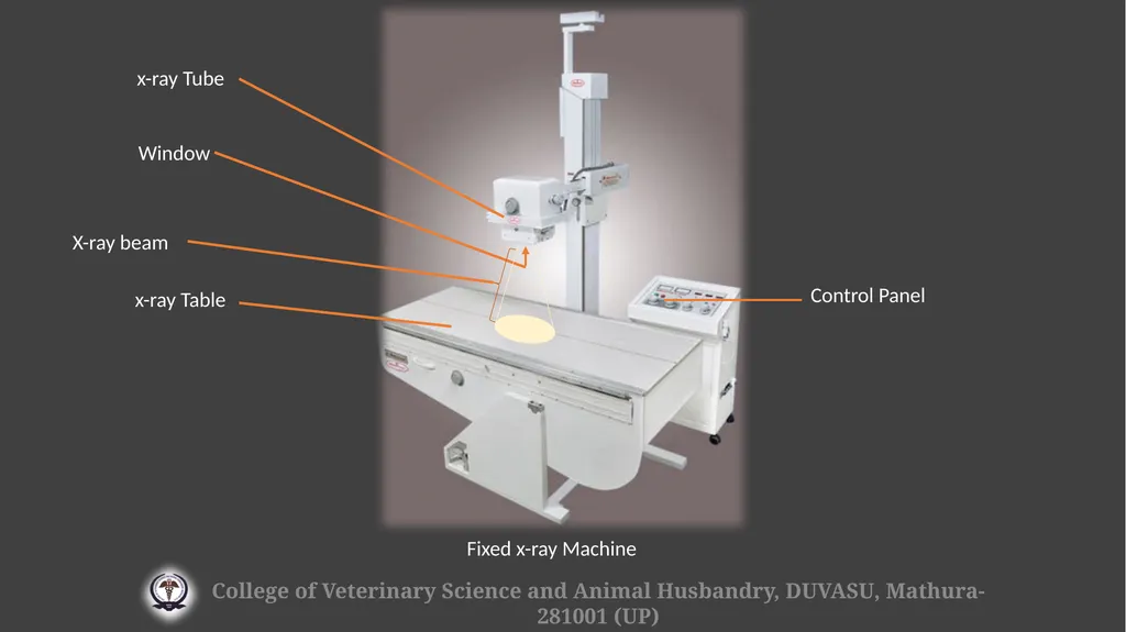 Radiation hazards & safety Gulshan Kumar MVSc, PhD - slide 25 of 29