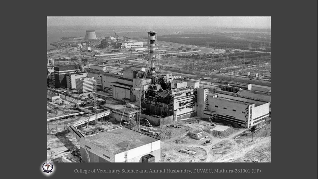 Radiation hazards & safety Gulshan Kumar MVSc, PhD - slide 3 of 29