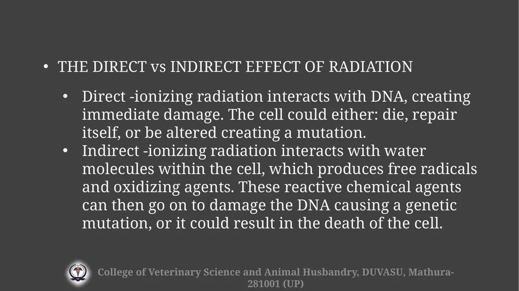 Radiation hazards & safety Gulshan Kumar MVSc, PhD - slide 8 of 29