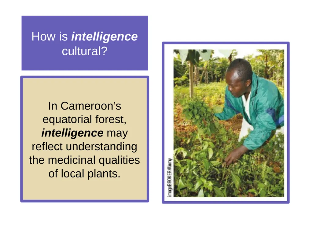 Unit 11 Testing and Individual Differences Module - slide 4 of 35