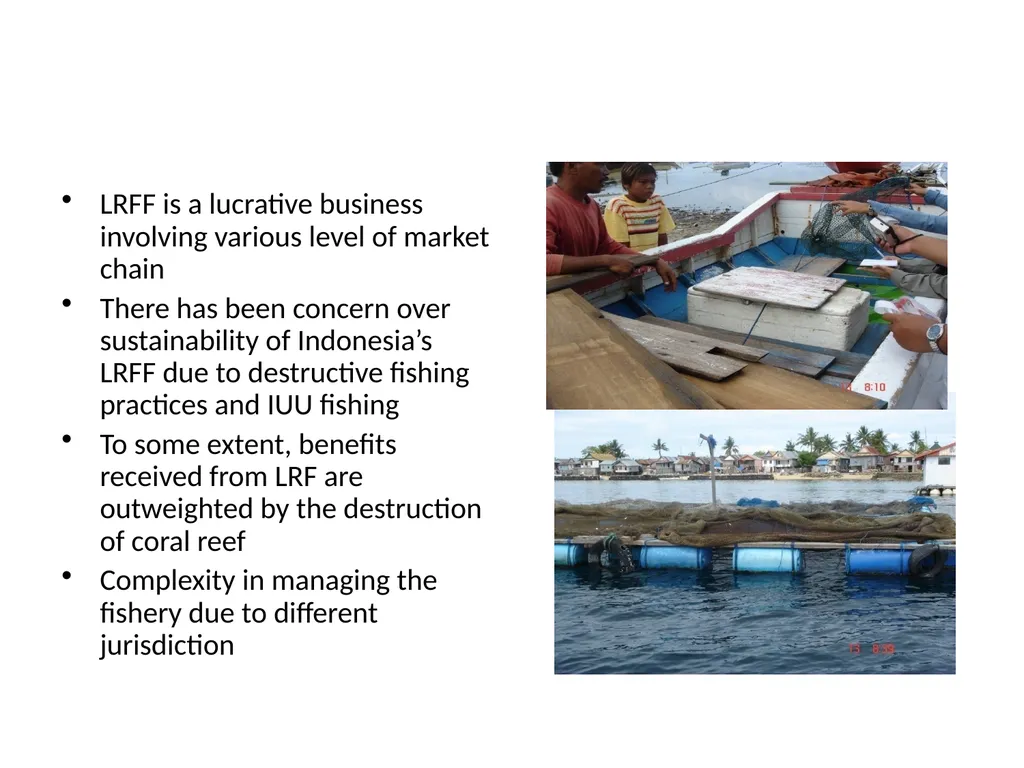 Managing across provincial, national and - slide 3 of 13