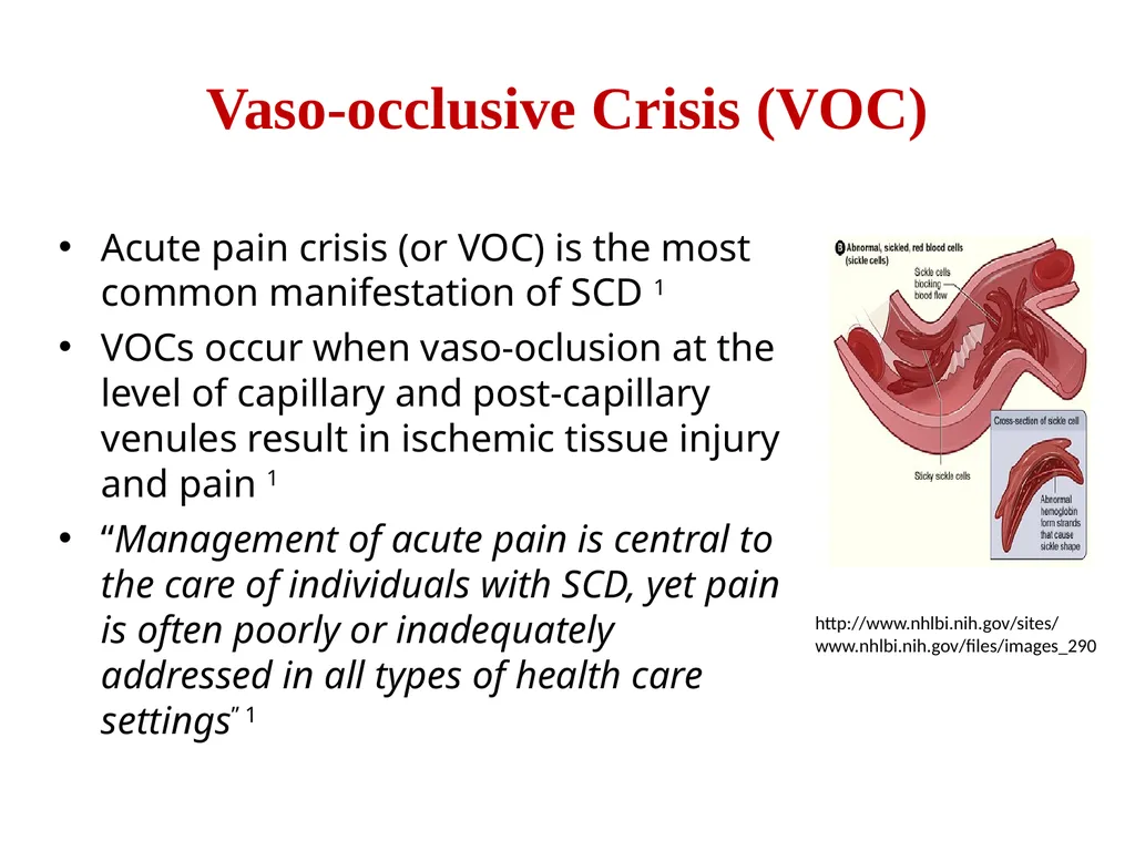 Sickle Cell Disease: Core Concepts for the - slide 5 of 22