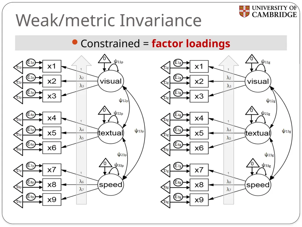 Multiple group measurement invariance analysis in - slide 17 of 37