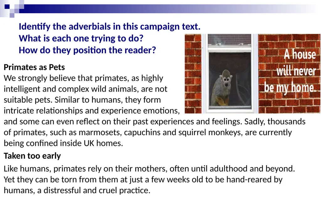 BUILDINg UNDERSTANDING OF Sentences: adverbials - slide 7 of 16