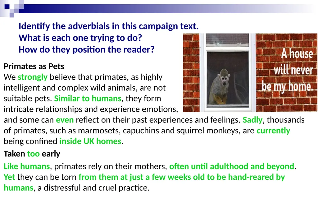 BUILDINg UNDERSTANDING OF Sentences: adverbials - slide 8 of 16