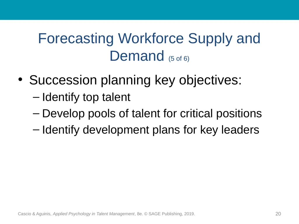 Chapter 10 Strategic Workforce Planning Cascio & - slide 20 of 31
