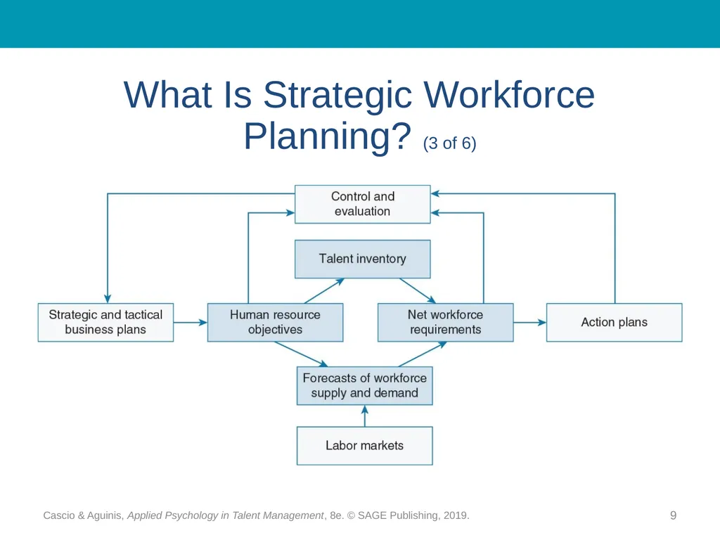 Chapter 10 Strategic Workforce Planning Cascio & - slide 9 of 31