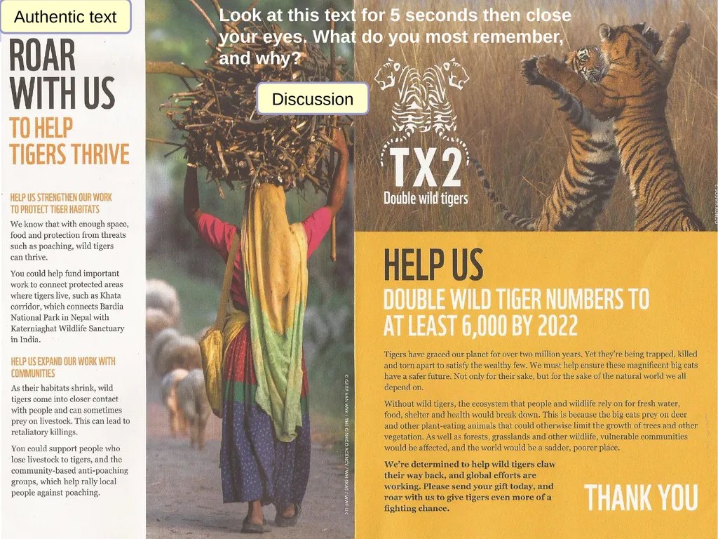Strengthening the message in a campaign text by - slide 3 of 7