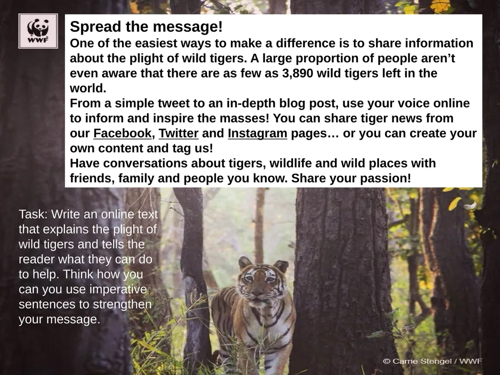 Strengthening the message in a campaign text by - slide 6 of 7