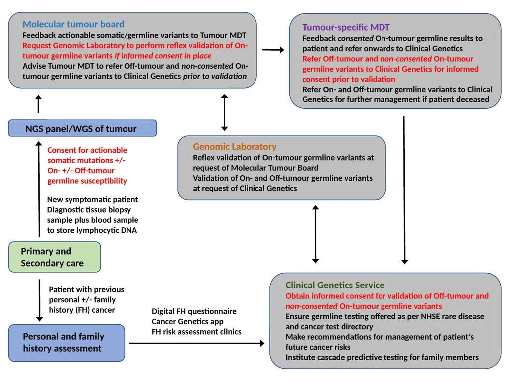 Breakout session 1 Somatic-to-germline testing - slide 16 of 16