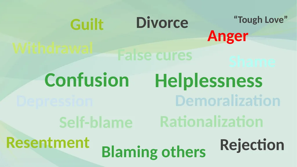 FAMILY PSYCHOEDUCATION William R. McFarlane, M.D. - slide 13 of 60
