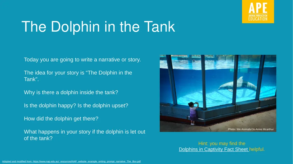 Narrative Writing LESSON 11 Write here, write now! - slide 2 of 8