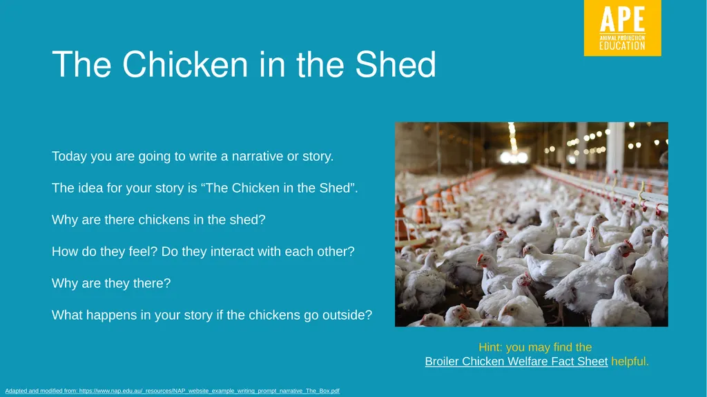 Narrative Writing LESSON 11 Write here, write now! - slide 5 of 8