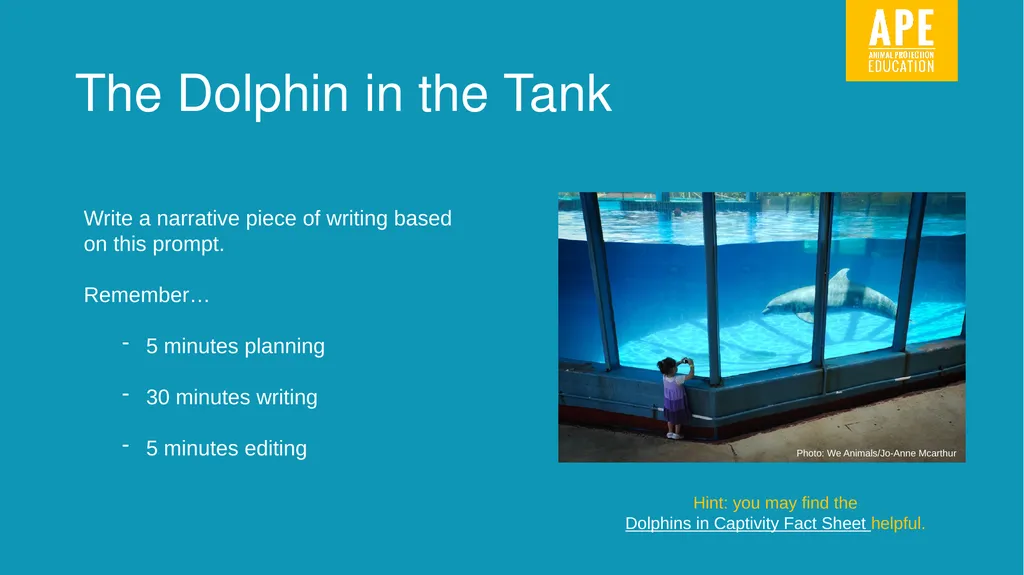Narrative Writing LESSON 11 Write here, write now! - slide 3 of 8