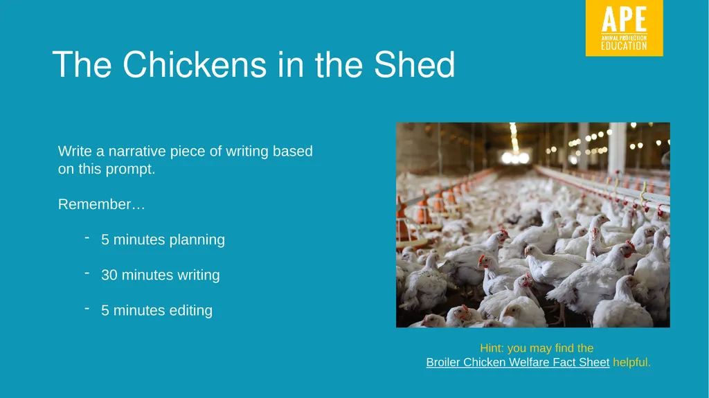 Narrative Writing LESSON 11 Write here, write now! - slide 6 of 8