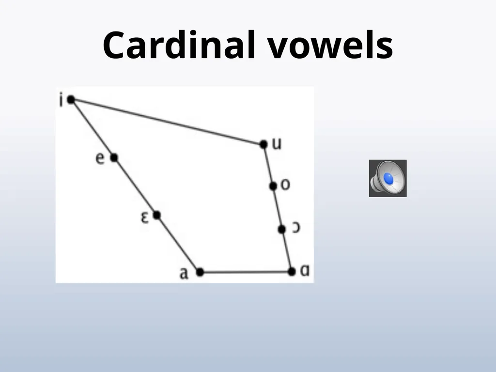 PHONETICS Introduction - slide 17 of 39