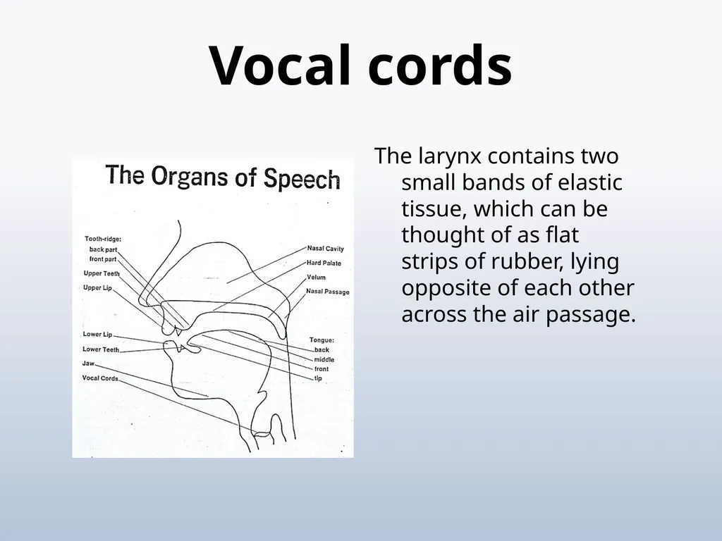 PHONETICS Introduction - slide 23 of 39