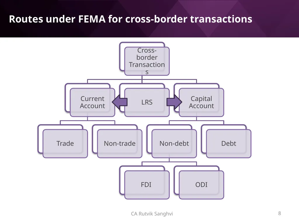 LRS remittances and Foreign investment by Resident - slide 8 of 130