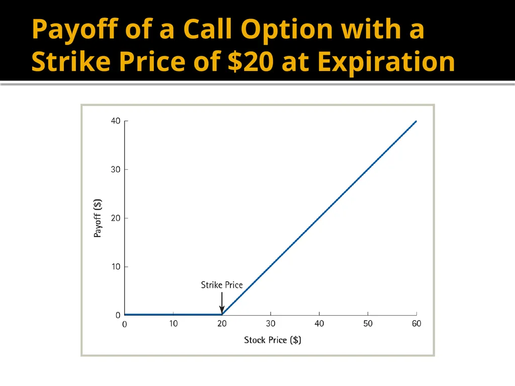 Financial Options Option Basics Financial Option A - slide 10 of 46