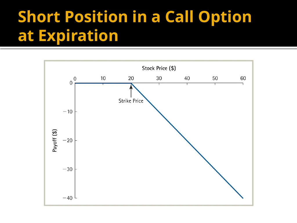 Financial Options Option Basics Financial Option A - slide 13 of 46