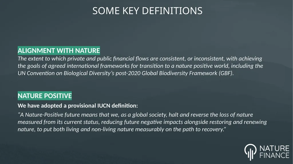 INCREASING THE NATURE ALIGNMENT OF GLOBAL FINANCE - slide 2 of 15
