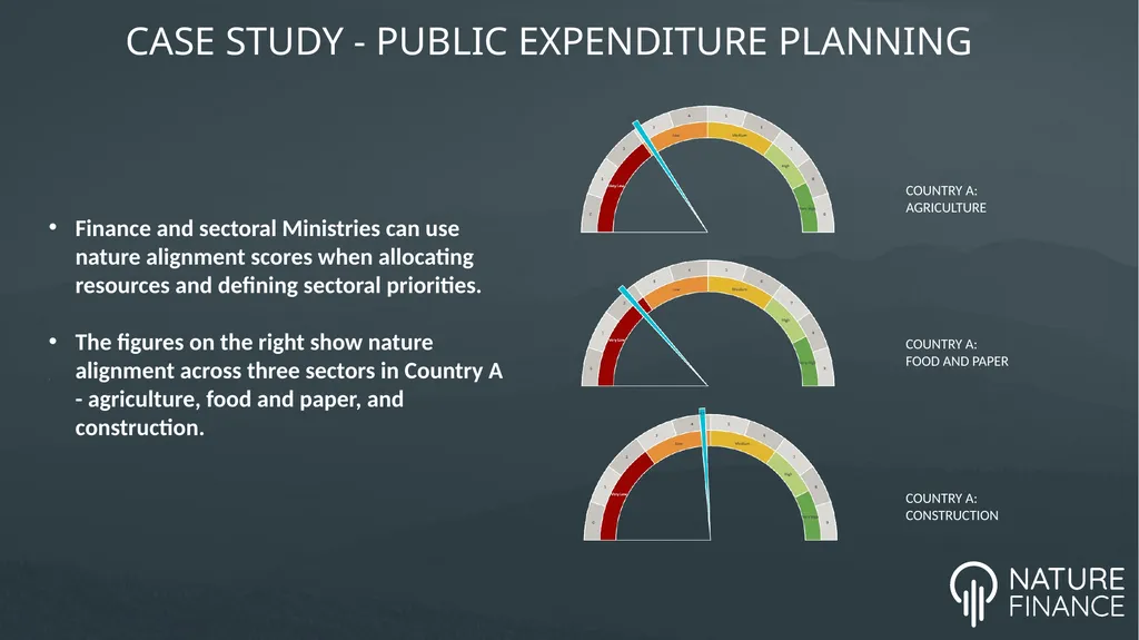 INCREASING THE NATURE ALIGNMENT OF GLOBAL FINANCE - slide 12 of 15