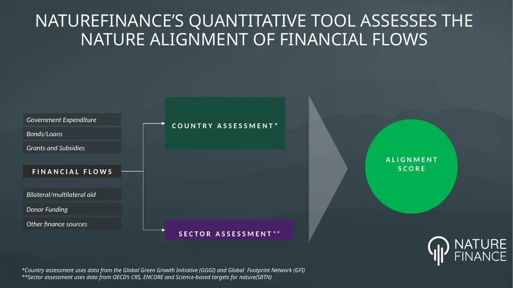 INCREASING THE NATURE ALIGNMENT OF GLOBAL FINANCE - slide 6 of 15