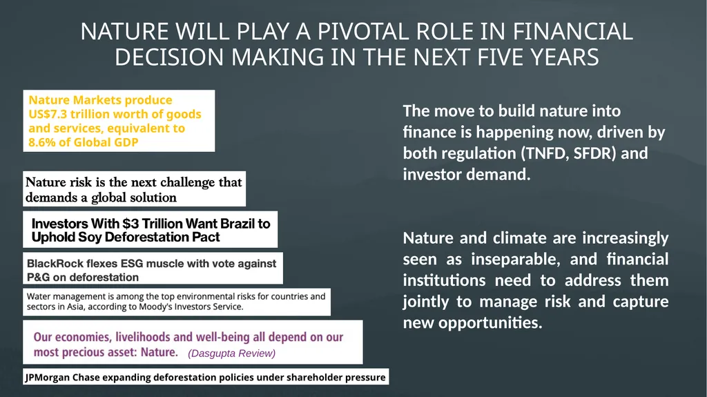 INCREASING THE NATURE ALIGNMENT OF GLOBAL FINANCE - slide 3 of 15