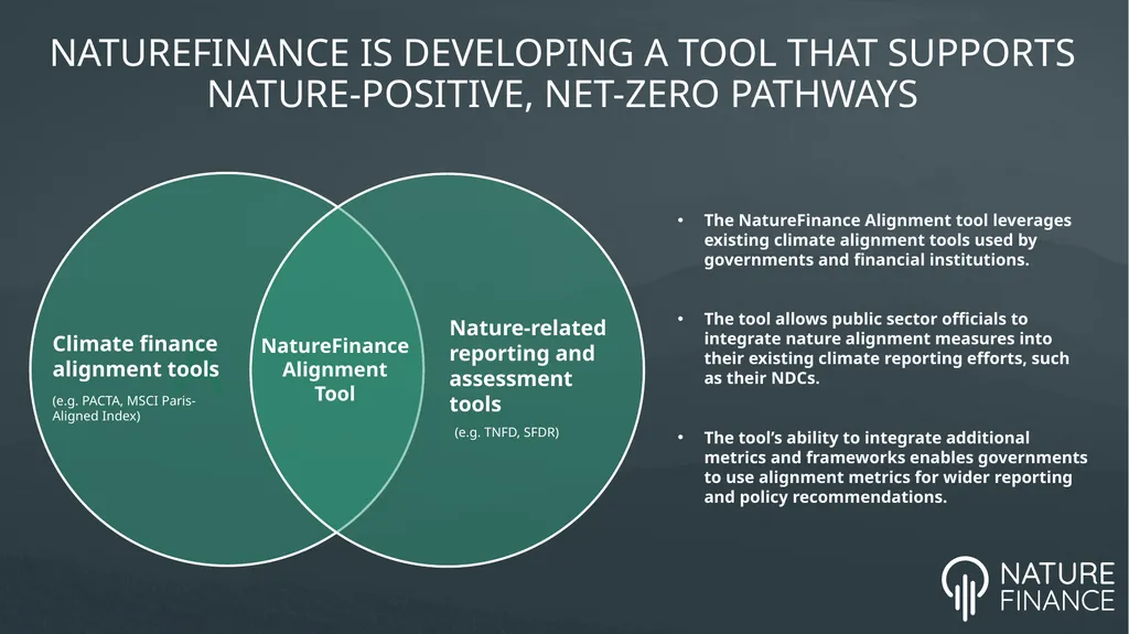 INCREASING THE NATURE ALIGNMENT OF GLOBAL FINANCE - slide 5 of 15