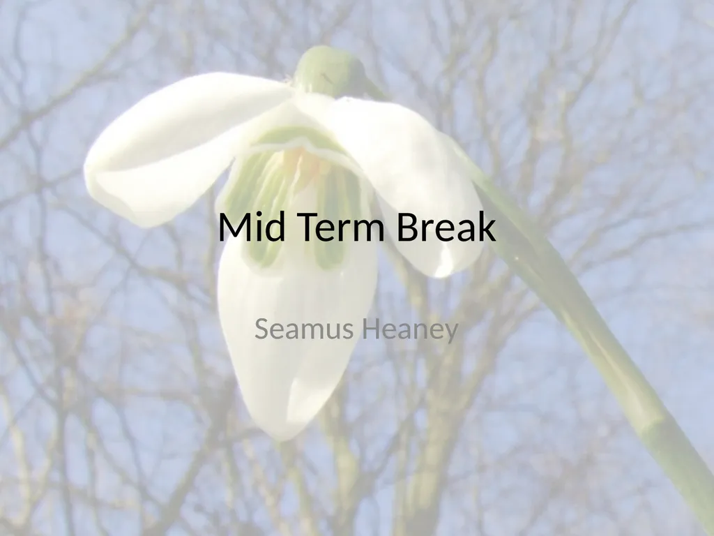 Mid Term Break Seamus Heaney Mid-Term Break By - slide 1 of 10