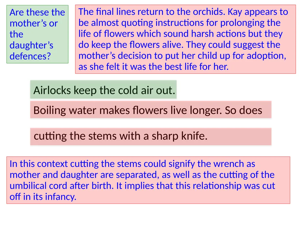 ‘Keeping Orchids’ Jackie Kay The persona – - slide 29 of 37