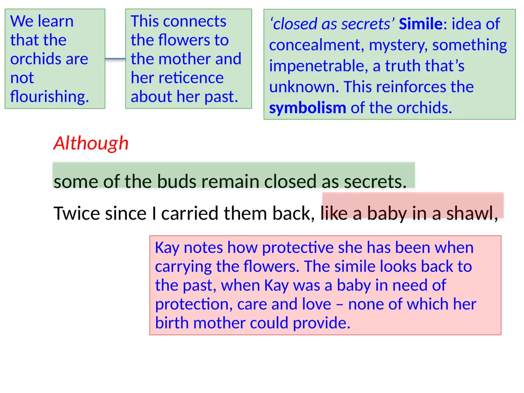 ‘Keeping Orchids’ Jackie Kay The persona – - slide 17 of 37
