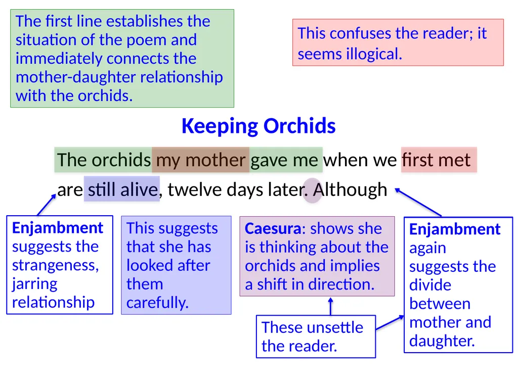 ‘Keeping Orchids’ Jackie Kay The persona – - slide 16 of 37