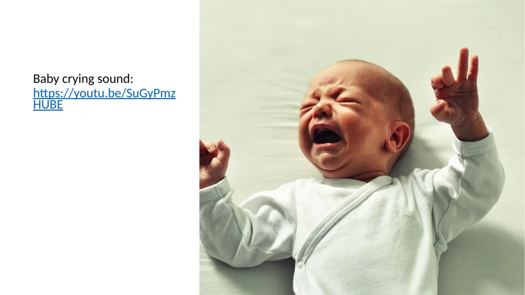 What babies need I can explain how human life - slide 5 of 7
