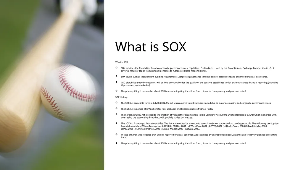 CONTROL TESTING :IT SOX 404 COMPLIANCE BY - slide 3 of 16