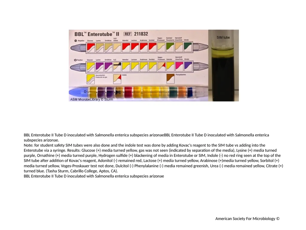 BBL Enterotube II Author: Multiple Authors - slide 8 of 10
