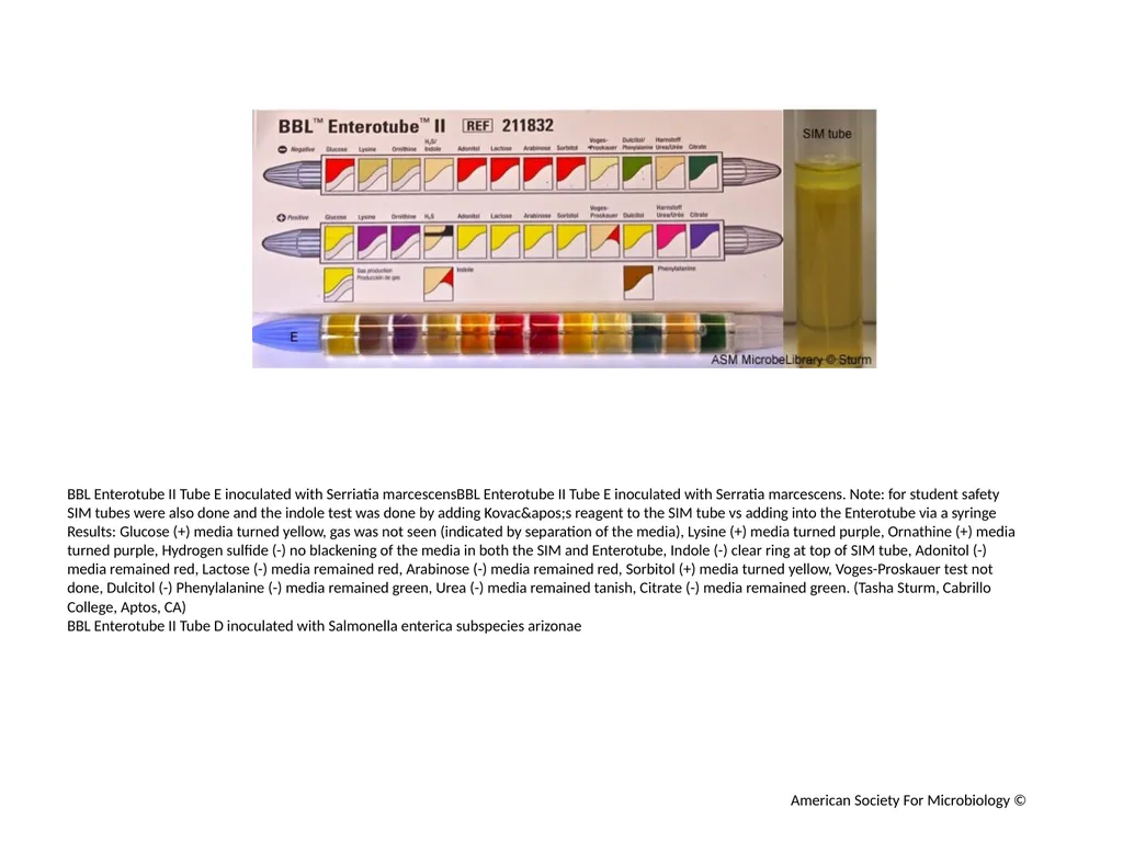 BBL Enterotube II Author: Multiple Authors - slide 9 of 10