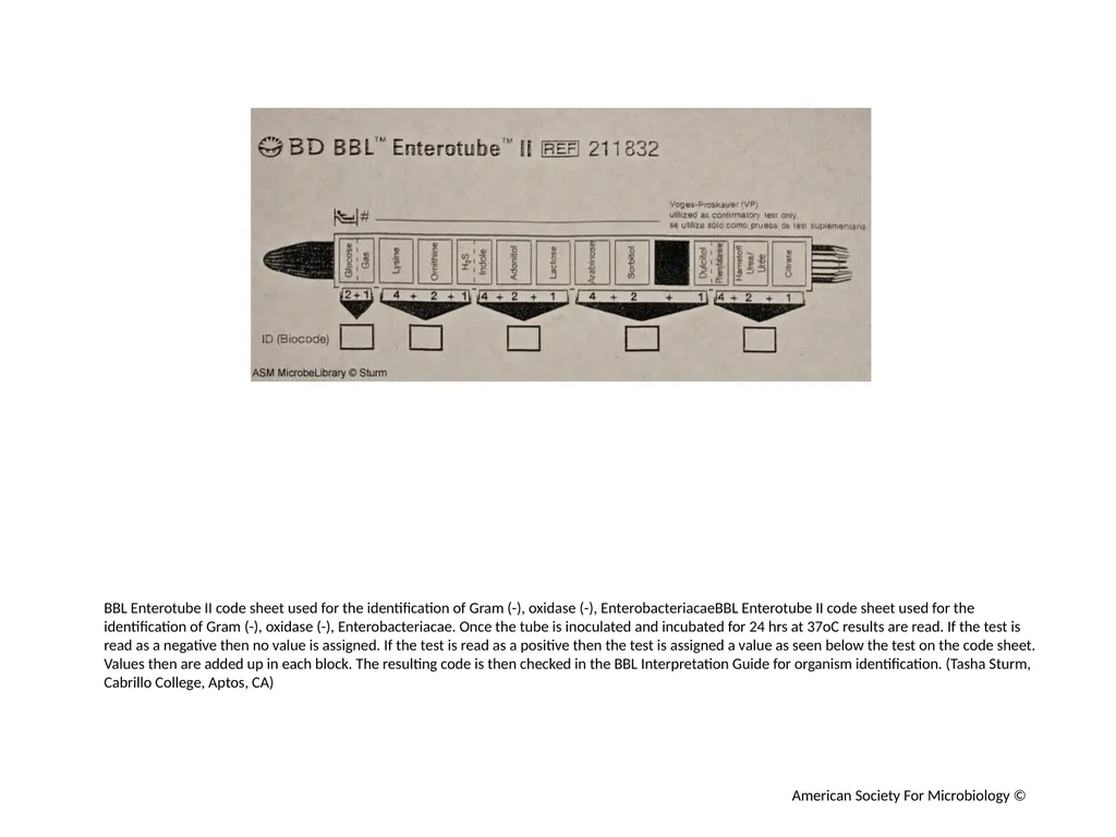 BBL Enterotube II Author: Multiple Authors - slide 2 of 10