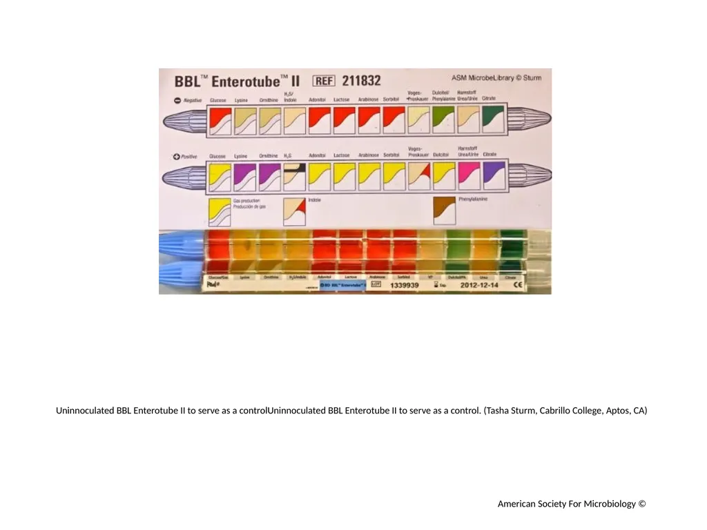 BBL Enterotube II Author: Multiple Authors - slide 3 of 10